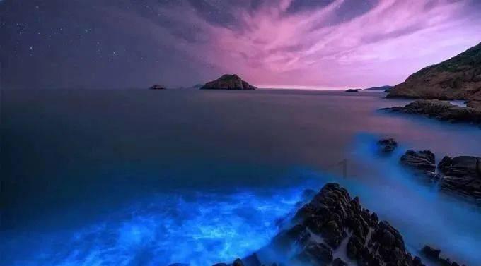 创作猫